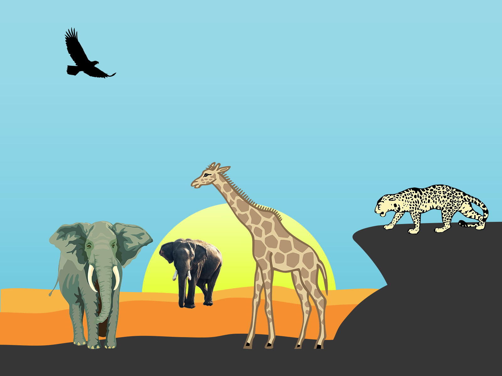 Safari Animals Backgrounds | Animals Templates | Free PPT Grounds
