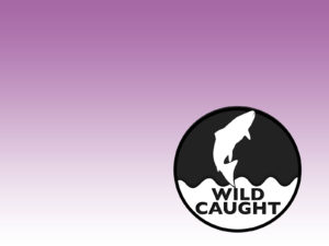 Wild Caught Templates Backgrounds