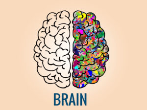 Brain PPT Backgrounds