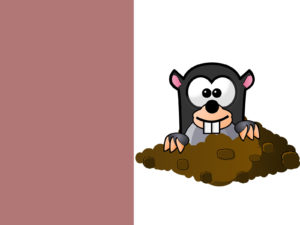 Cute Mole Cartoon Powerpoint Themes