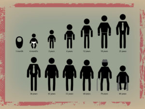 Human Life Cycle PPT Grounds