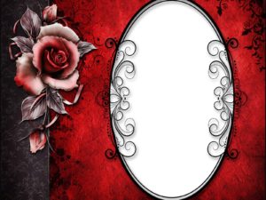 Rose frame backgrounds